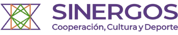 cropped-LOGO-SINERGOS-2024_WEB-fondo-transparente_3